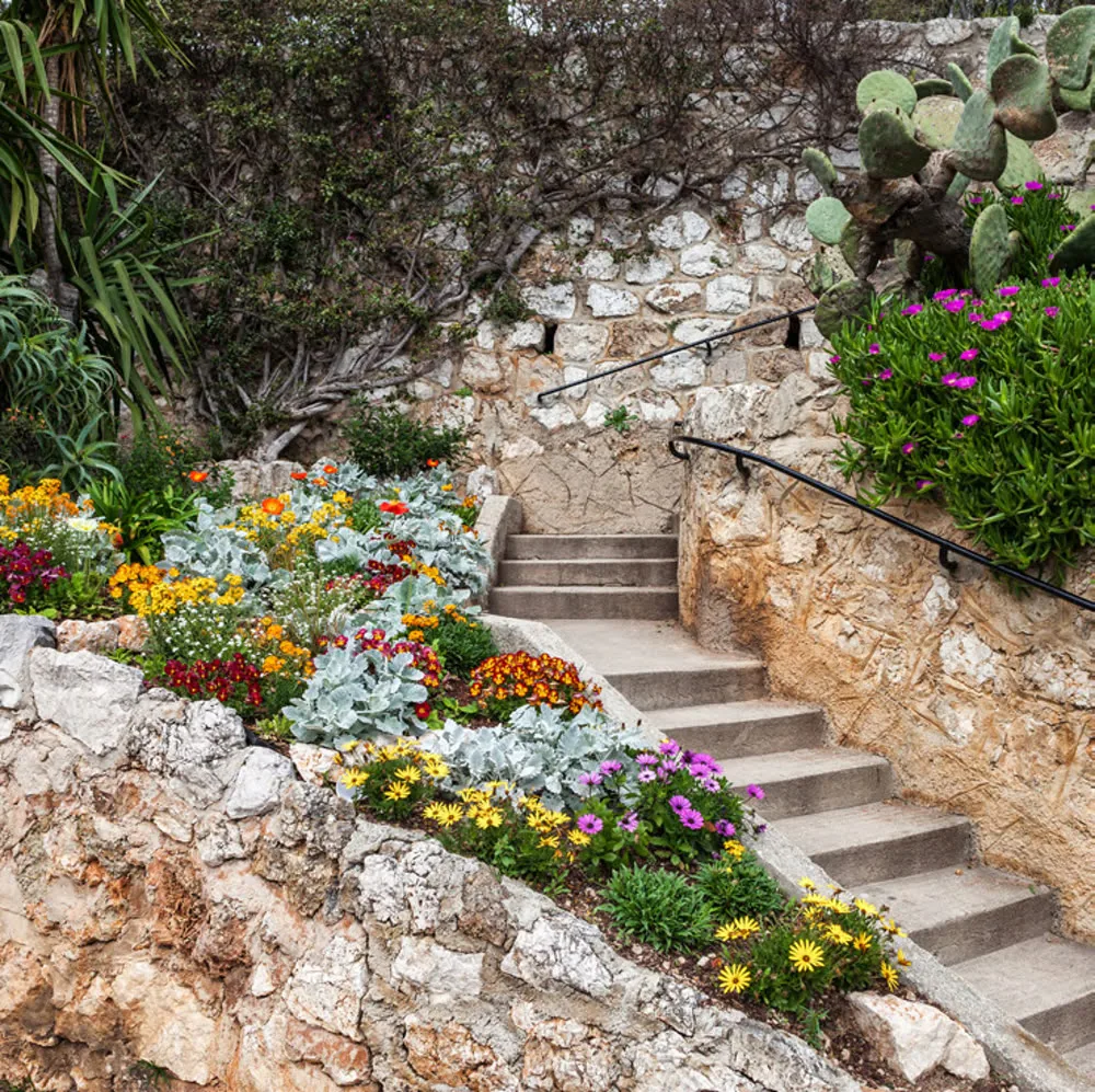 The cliffside journey at Tierra