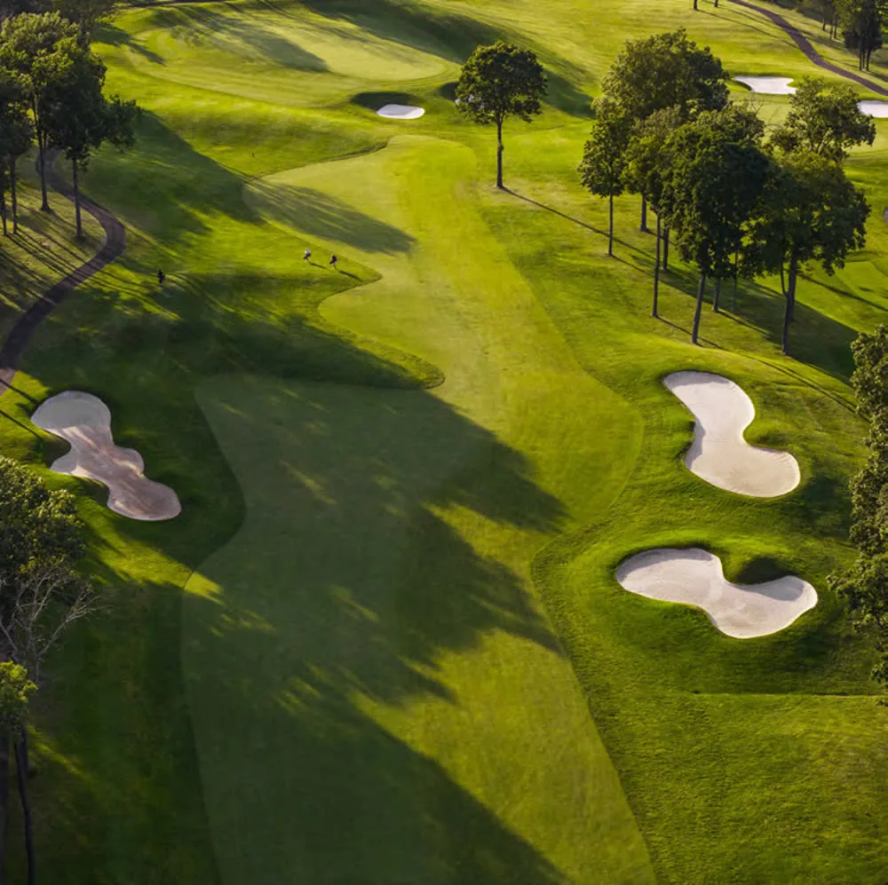 The central park at Tierra