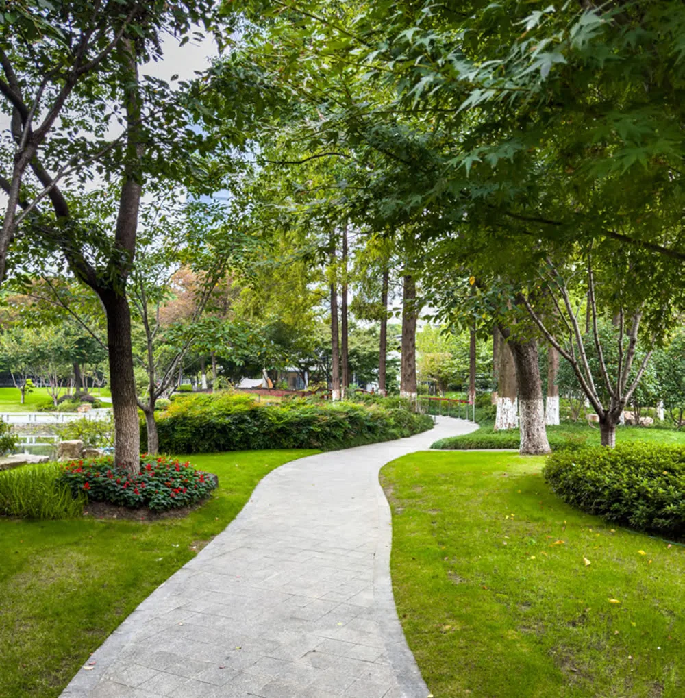 The shaded pathways at Tierra